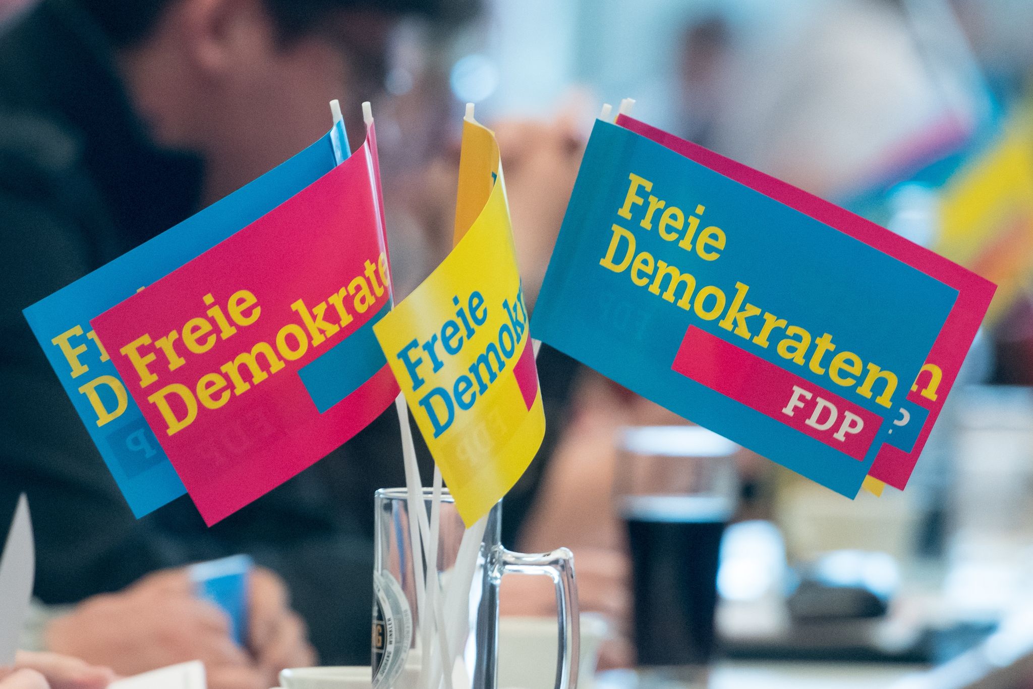 Die FDP-Mitgliederbefragung war Mitte des Monats gestartet. Foto: picture alliance / Armin Weigel/dpa