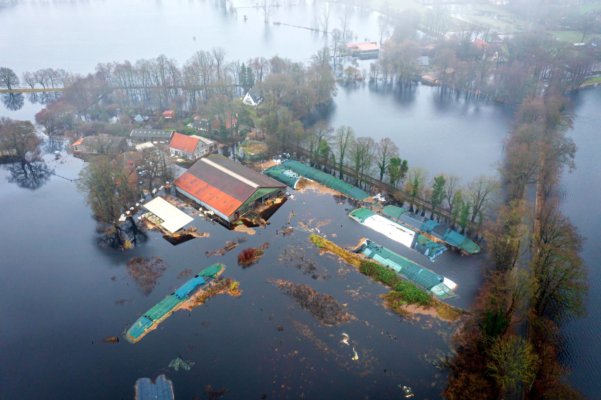 Ein Bauernhof im Bremer Stadtteil Timmersloh steht unter Wasser. Foto: Sina Schuldt/dpa