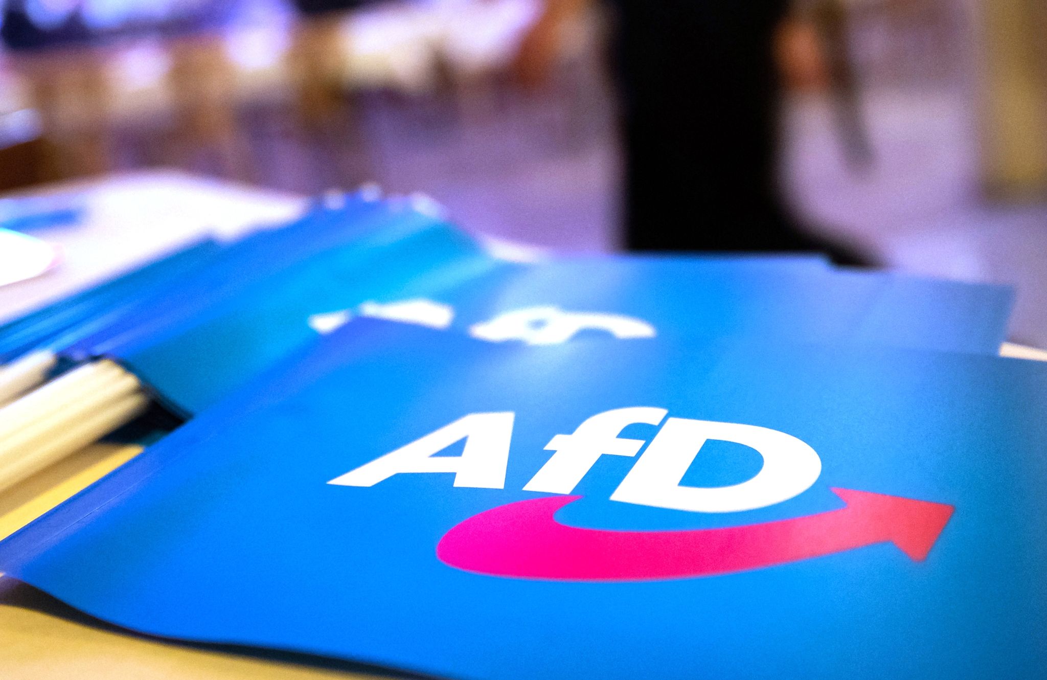 Ein AfD-Verbotsverfahren - ja oder nein?  Politikerinnen und Politiker der SPD sind sich nicht einig. Foto: Daniel Karmann/dpa