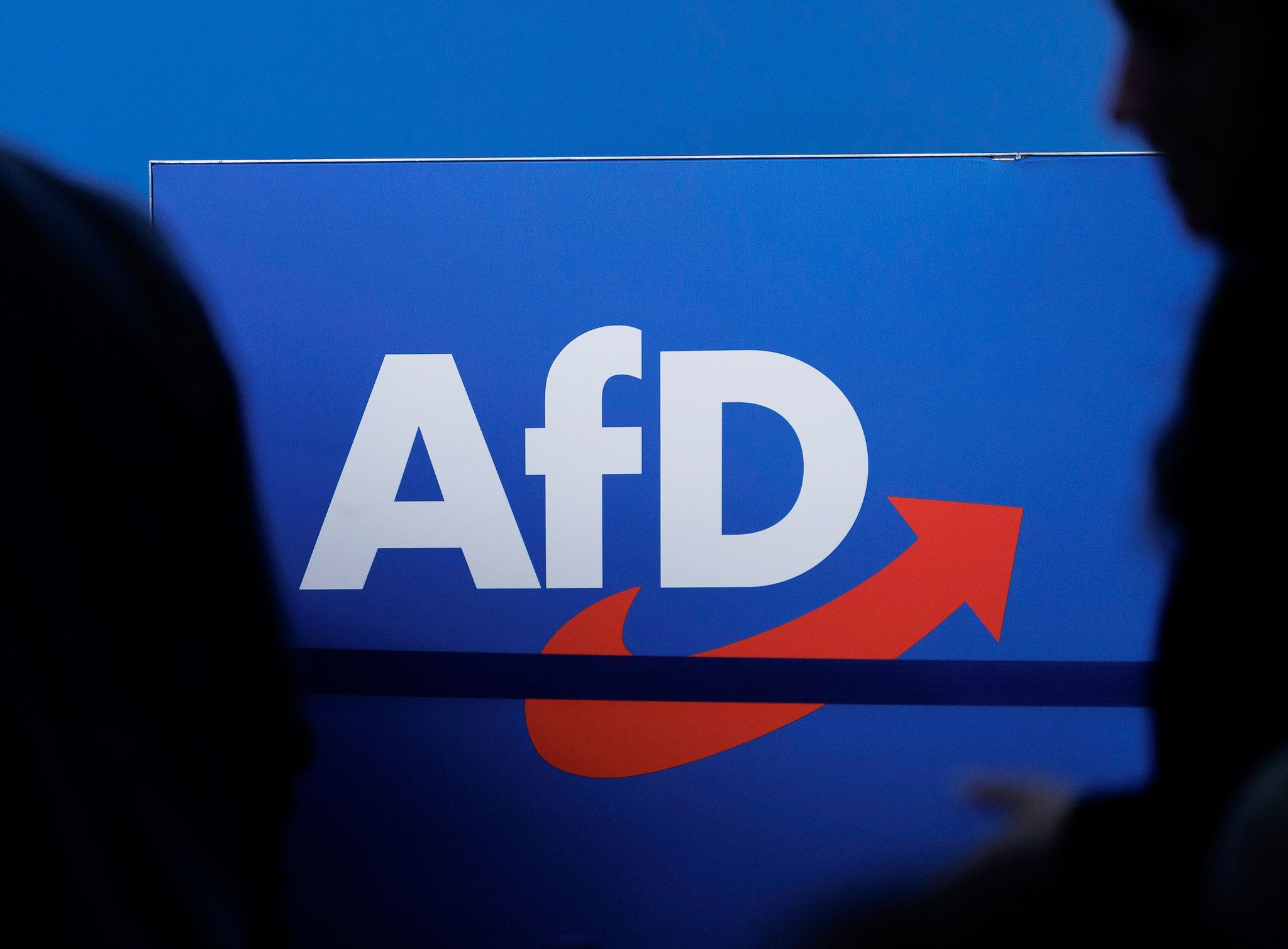 Die Debatte über ein Verbot der AfD ist in vollem Gange. Foto: Carsten Koall/dpa